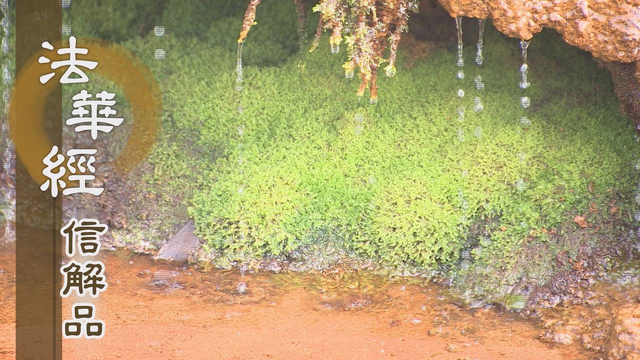 【靜思妙蓮華】法華經信解品 - 執空而不進求 - 20210319 第732集