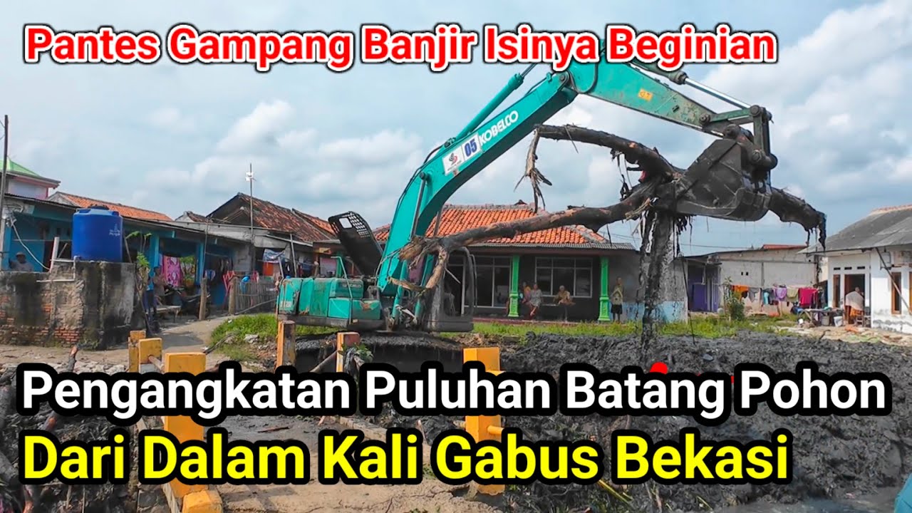Pengangkatan Puluhan Batang Pohon Dari Dalam Kali Gabus Bekasi