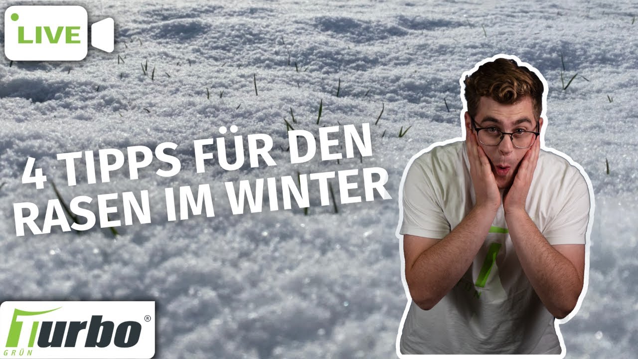4 Rasentipps für den Winter | Das muss im Winter auf dem Rasen beachtet werden | Turbogrün 🔴
