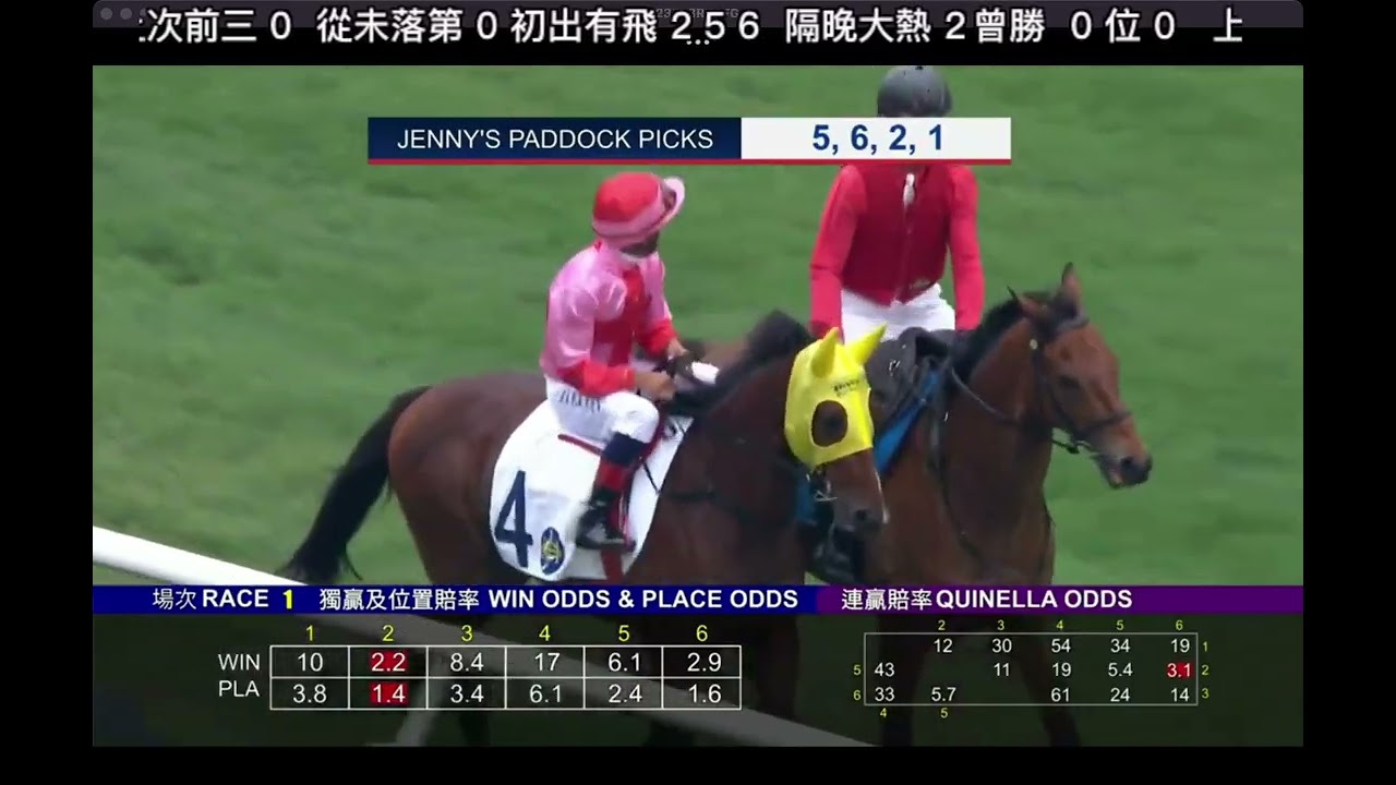 2026 04 12 沙田 第一場 #通情達理 #潘頓