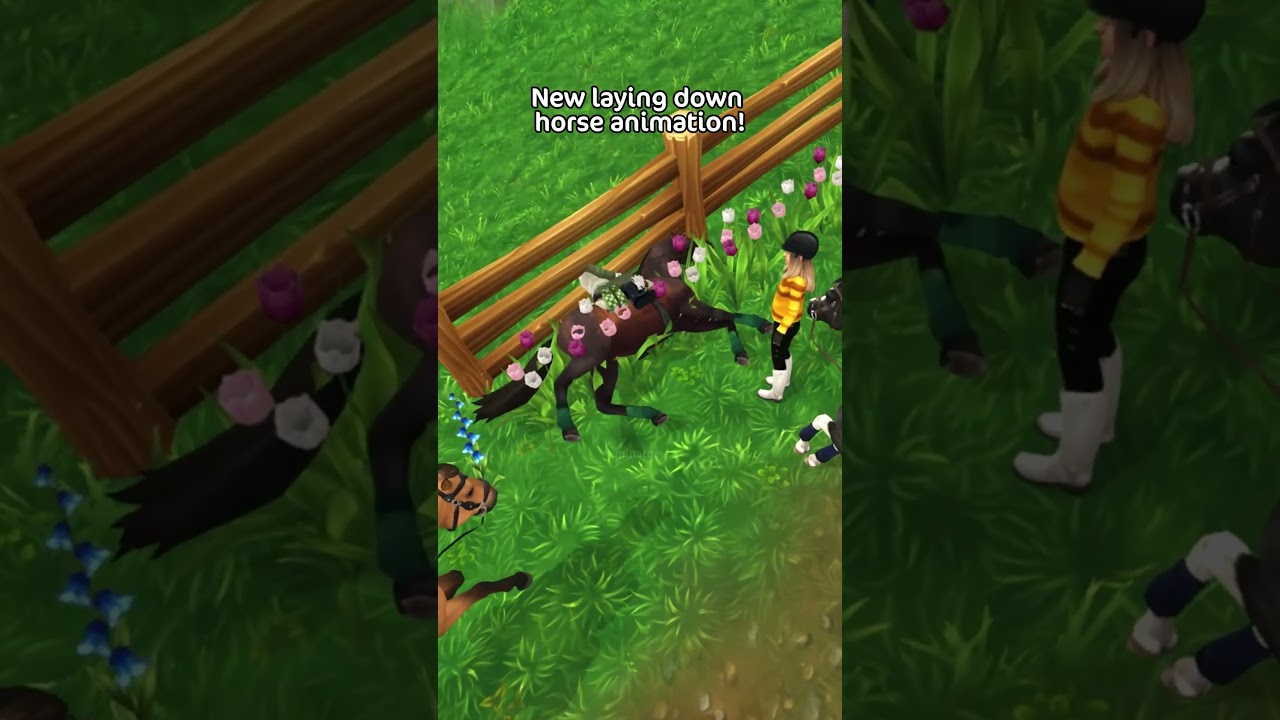 Will you buy it? New horse animations in Star Stable! #shorts #starstable #gaming #horse
