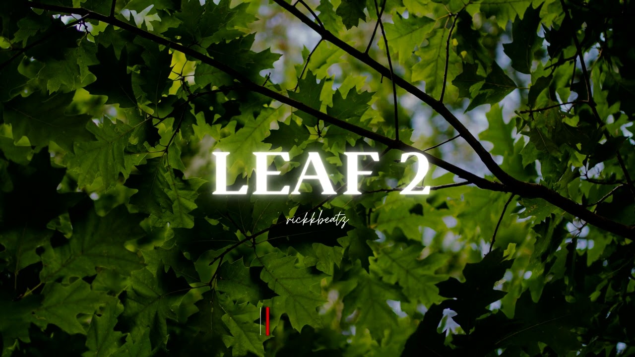 [FREE FOR PROFIT TYPE BEAT] 