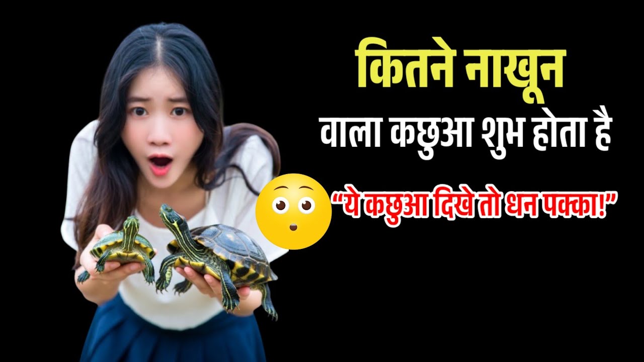 कितने नाखून वाला कछुआ शुभ होता है // kitne nakhun wala kachhua achcha hota hai