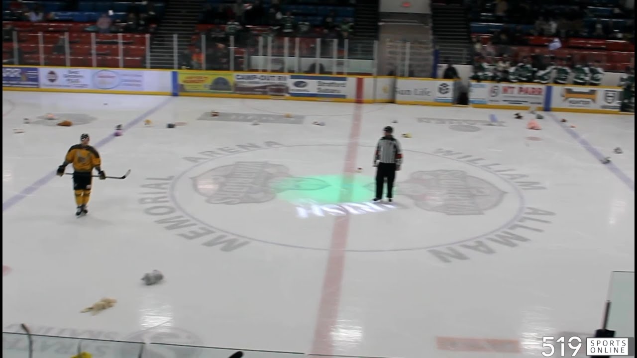 Хоккей NPHL: Alvinston Killer Bees против Stratford Irish