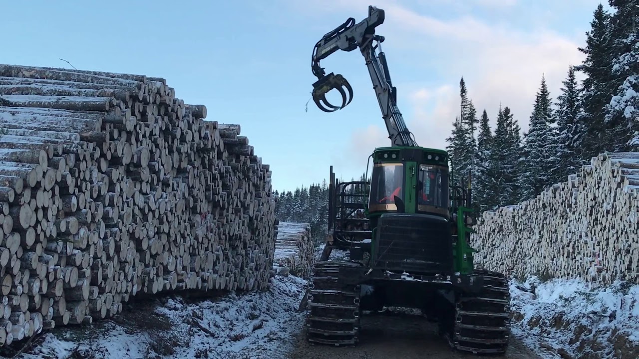 Chantiers Forestiers secteur St - Julienne  2019 (Gaspé)