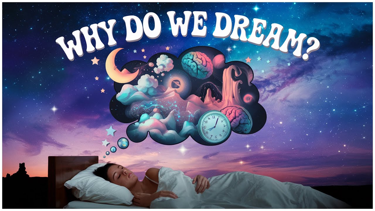 Why Do We Dream? The Fascinating Science Behind Your Night time Mind