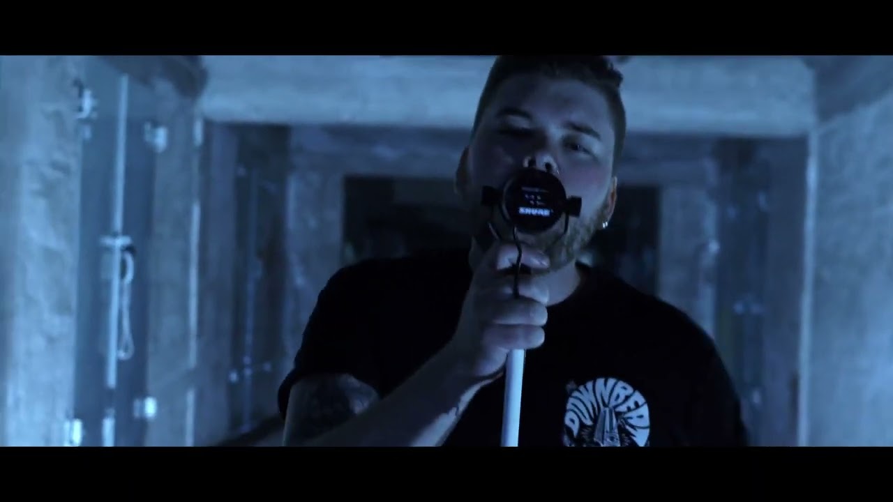 Architects - Animals (cover)