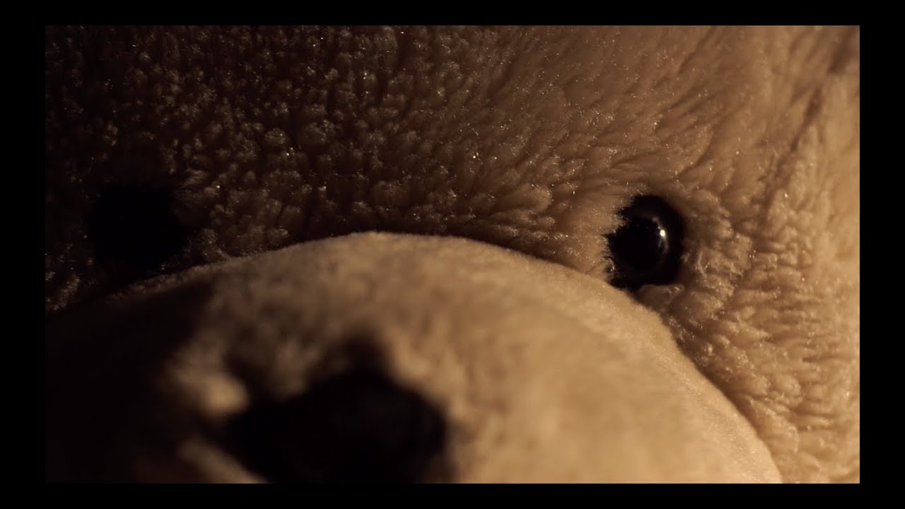 Ratio Bear
