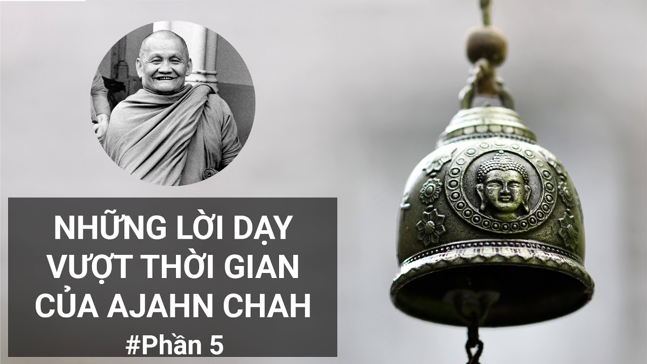 Những Lời Dạy Vượt Thời Gian Của Ajahn Chah (Phần 5/5)