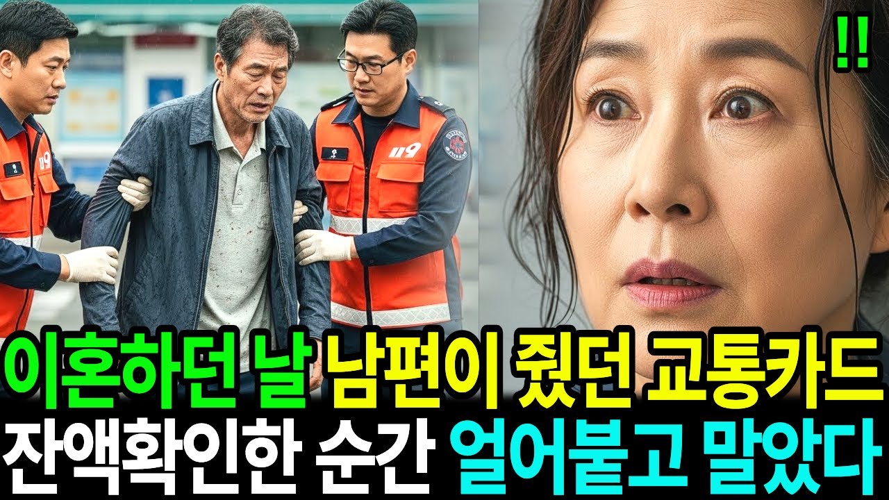이혼하던 날, 남편이 던져줬던 교통카드...한참 후  잔액확인한 순간 얼어붙고 말았습니다.