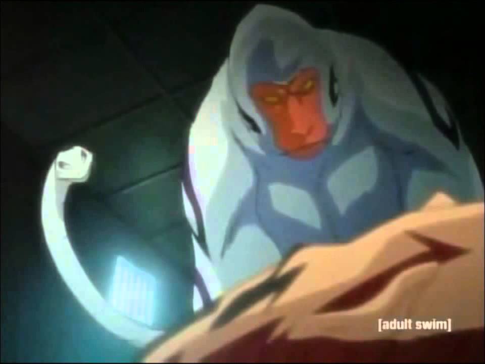 zabimaru speaks to renji