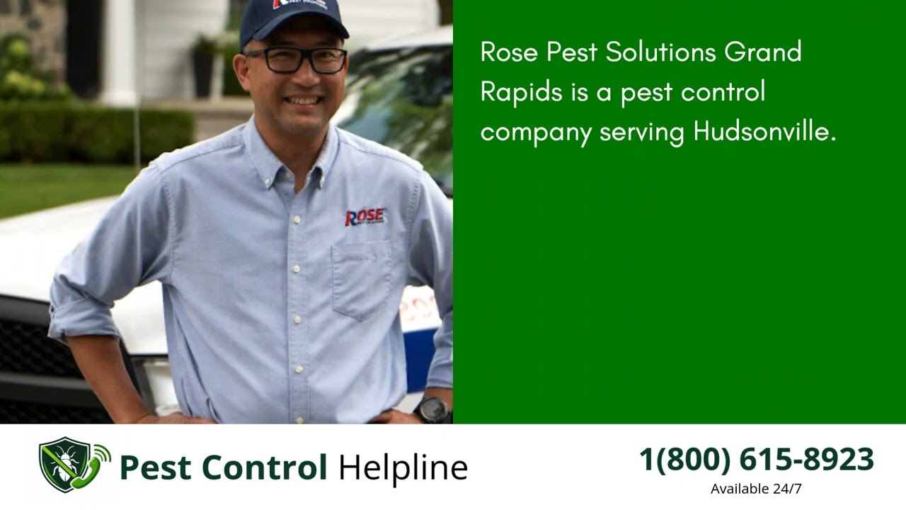 Top 3 Pest Control in Hudsonville
