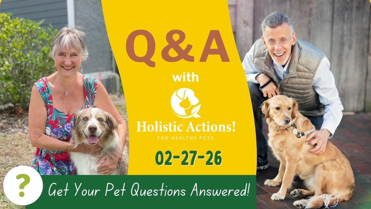 Recurring Skin, Gut & Ear Problems in Pets? Here’s What’s Really Causing Them