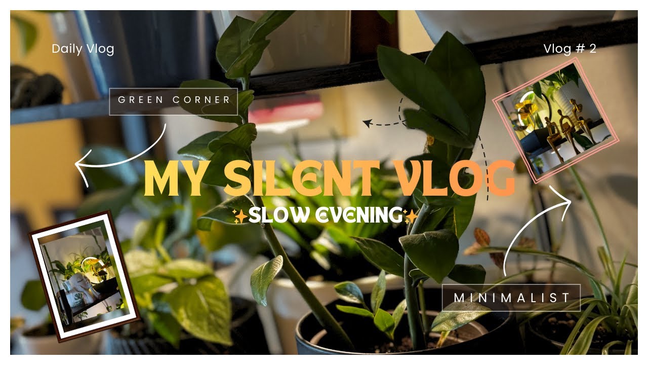 Vlog # 2✨My silent vlog✌️Dream plant corner 🍀Propogation and repotting🪴Love toddler 