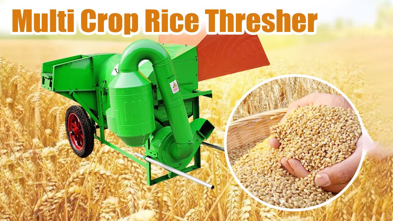 Multi-crop rice and wheat thresher machine working video | High efficiency grain threshing machine