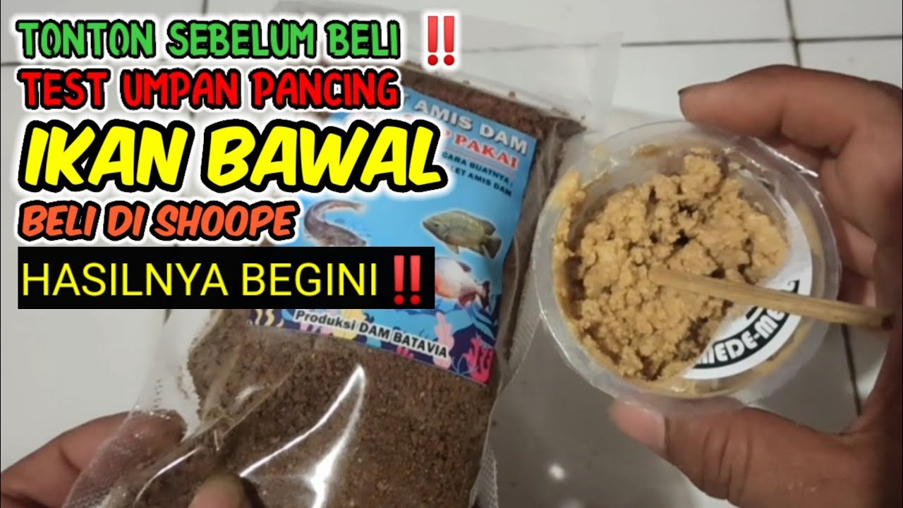 REVIEW UMPAN PANCING IKAN BAWAL KACANG MEDE PALING GURIH