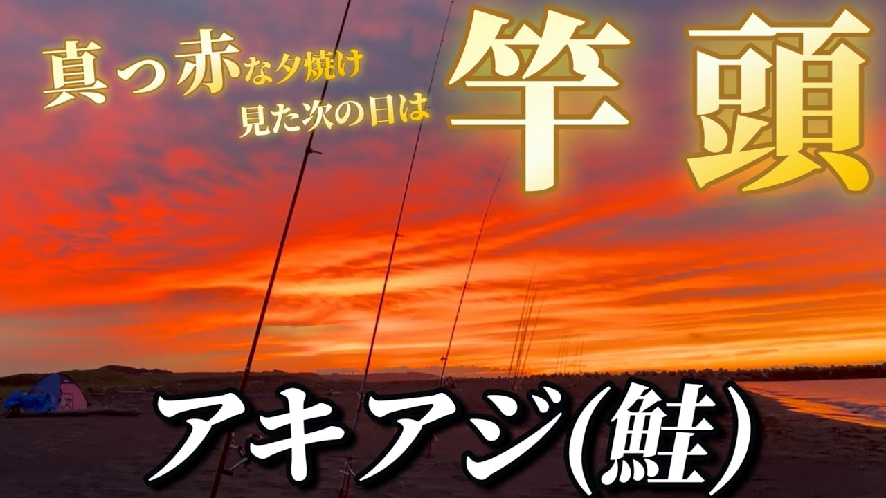 【北海道】【釣り】見える範囲で竿頭！アキアジ（鮭）！真っ赤に燃える夕焼けの後は釣れる⁉