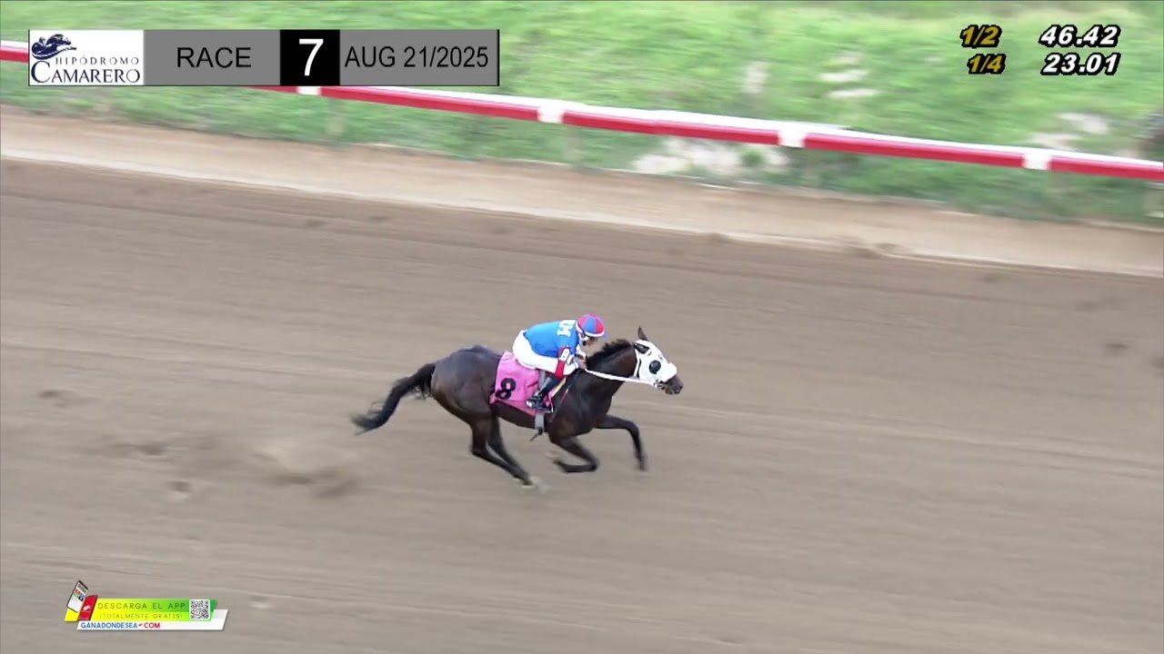 CARRERA 7 - 21/AGOSTO/2025 (GOLD APPLE)
