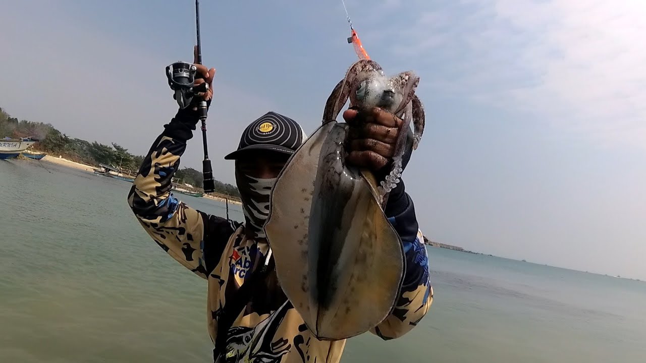Senang Kalau Begini Lemparan Pertama Langsung Babon Feat Cangkek XUL 1-3lb | Mancing Cumi Pinggiran