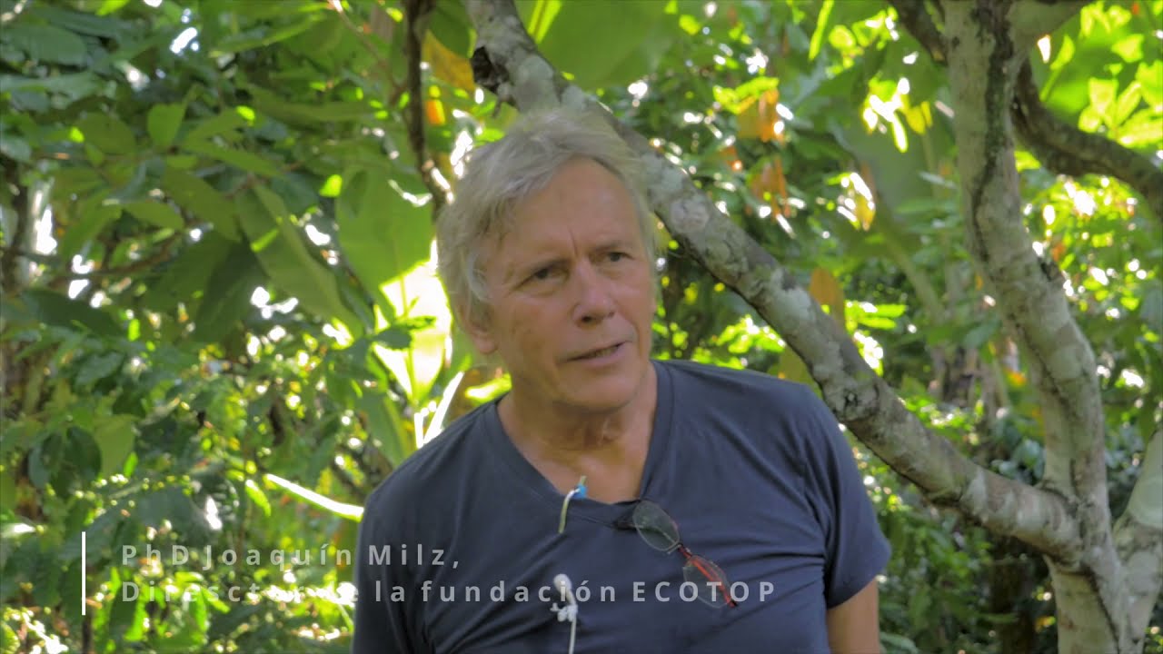 Dynamic agroforestry with coffee - how to control 