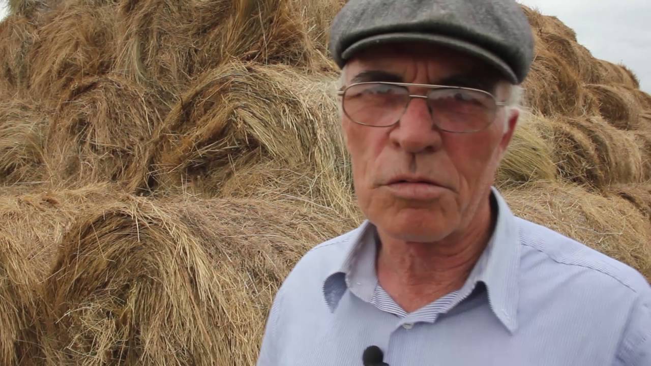 Тружеников села Стальское в Кизилюртовском районе посетили артисты
