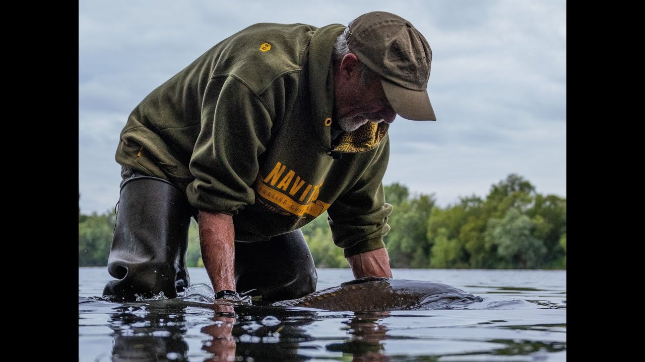 Monster Carp Alert!  Laney's island Adventures part 7.