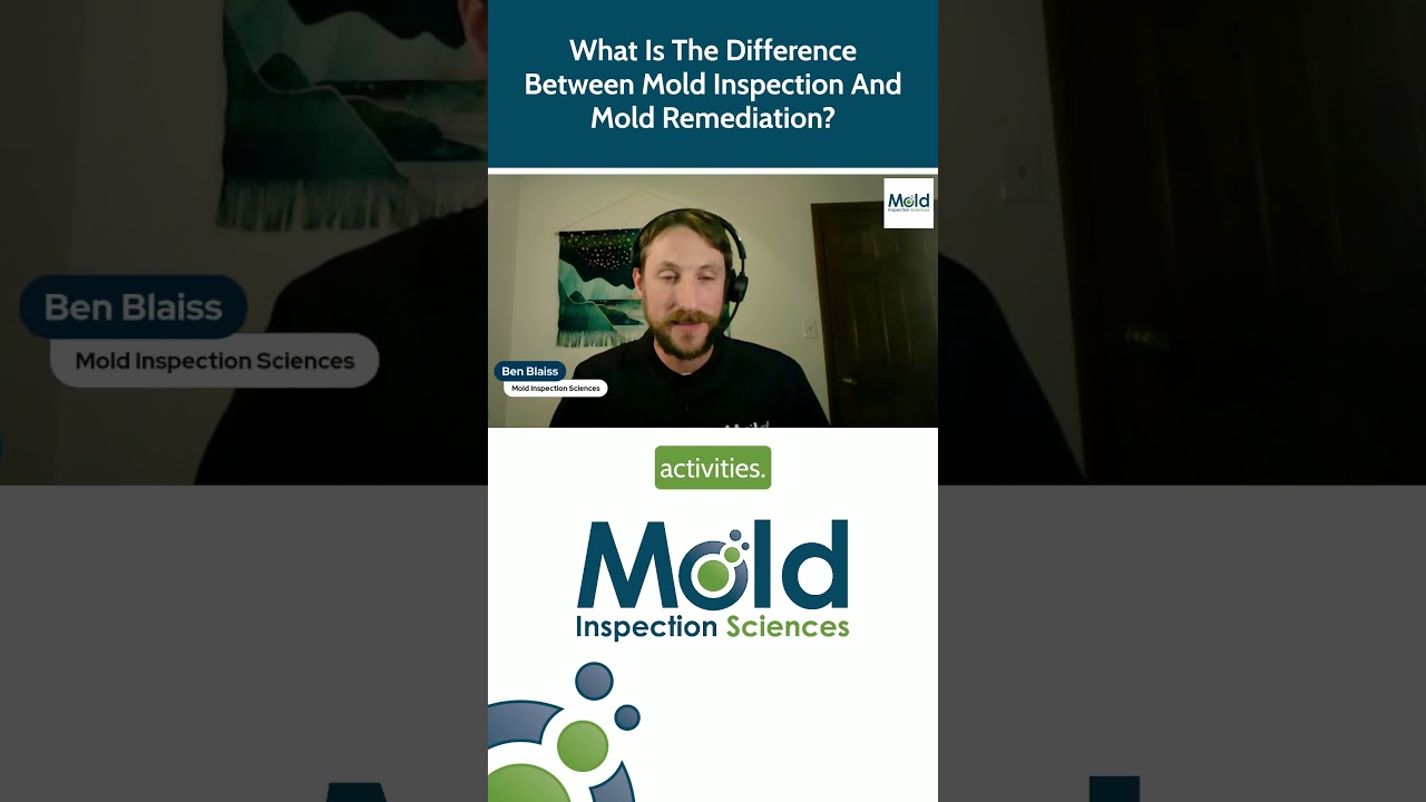 What is the difference between mold inspection and mold remediation?