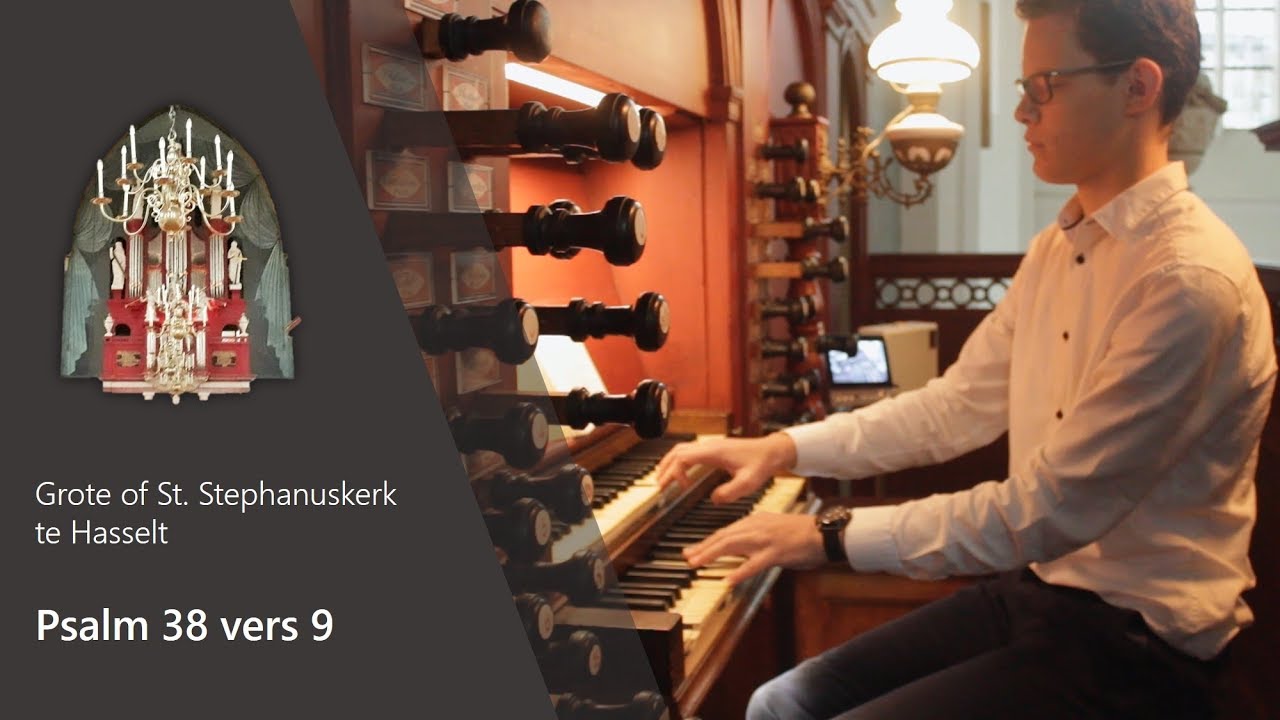 Psalm 38 vers 9 - Grote of St. Stephanuskerk te Hasselt