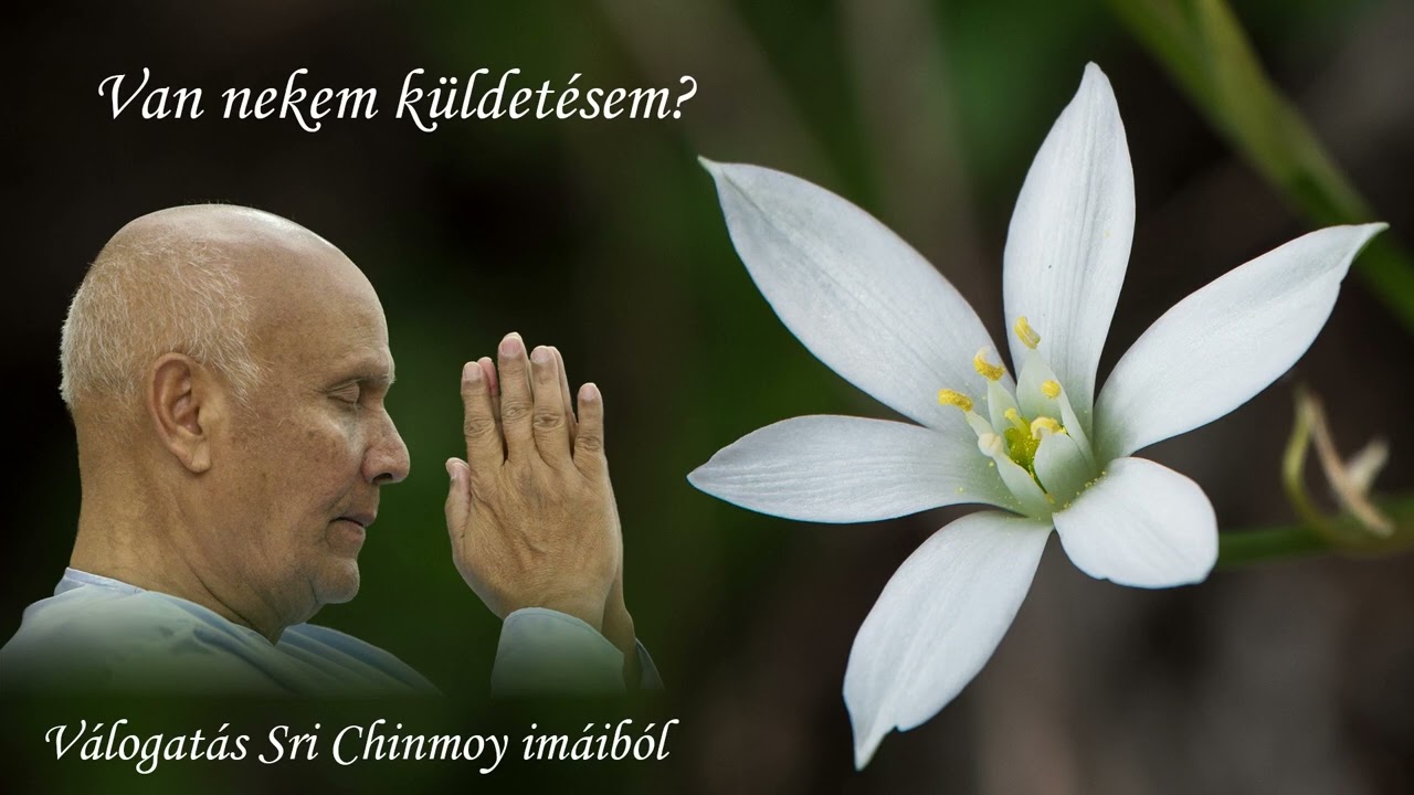 Van nekem küldetésem?