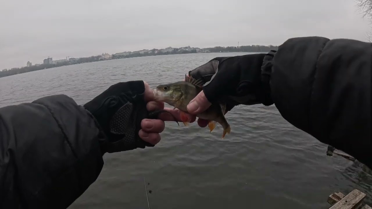 😁РИБАЛКА НА ОКУНЯ ЩУКУ І РАКА 😂 Тернопільське Озеро (GoldFish)