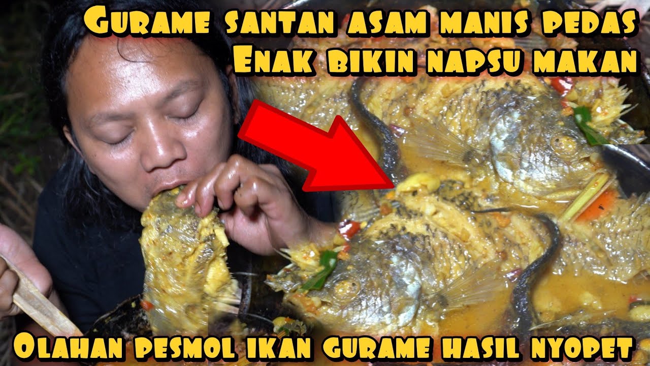 GURAME SANTAN ASAM MANIS PEDAS HASIL NYOPET