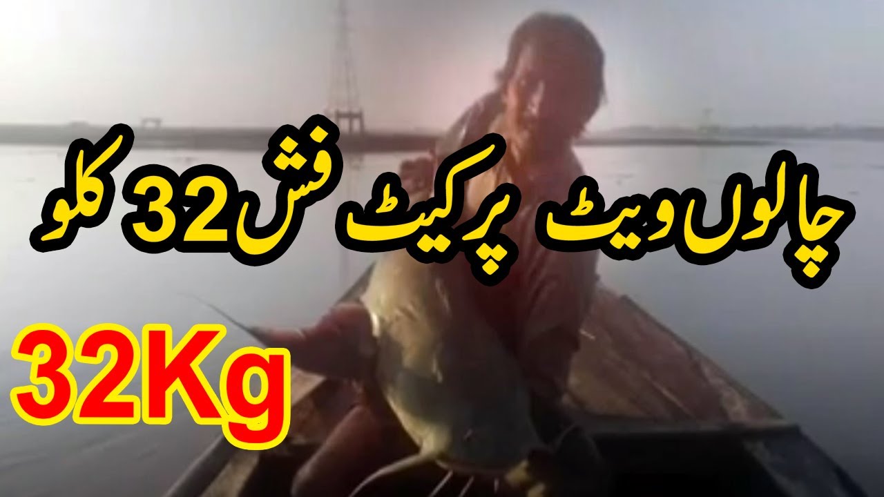 Lahori group fish hunting