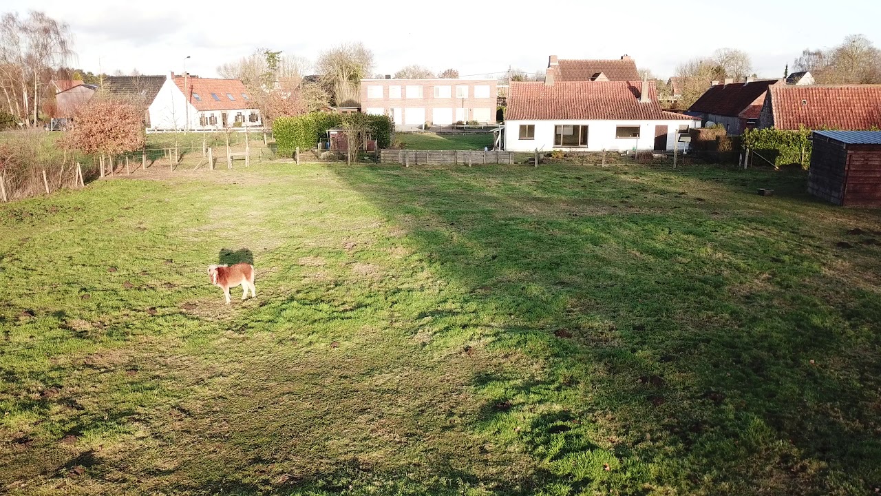 ADWimmo - Kleine Kapellestraat Knesselare
