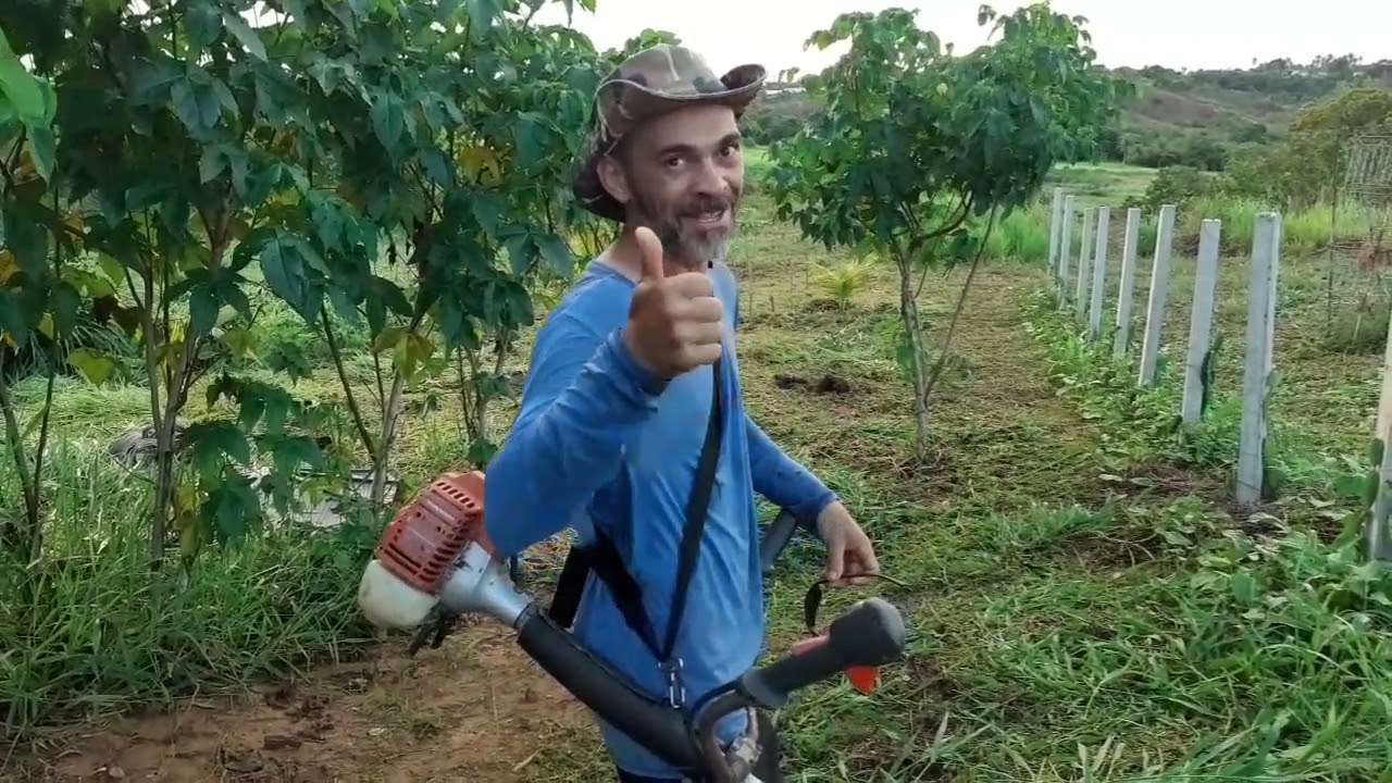 O Experimentador do Sert&atilde;o veio pegar BRS Kurumi e ajudou a dar um grau na nossa Ch&aacute;cara Bela Vista