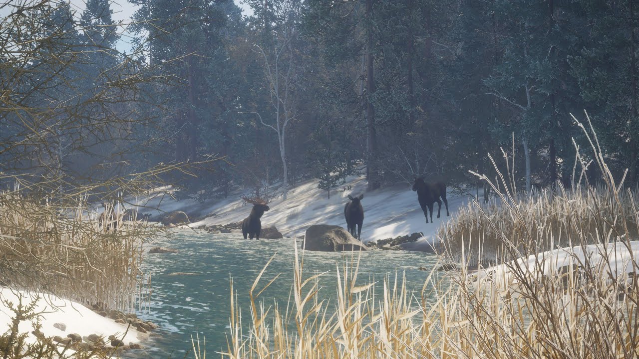 Hirvi jahti Askiy Ridge mapissa! | theHunter: COTW Suomi