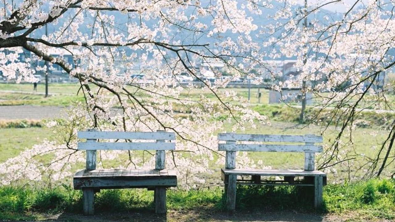 오해는 오해로 두기로 했어요 | 내 감정을 아끼는 날의 Playlist