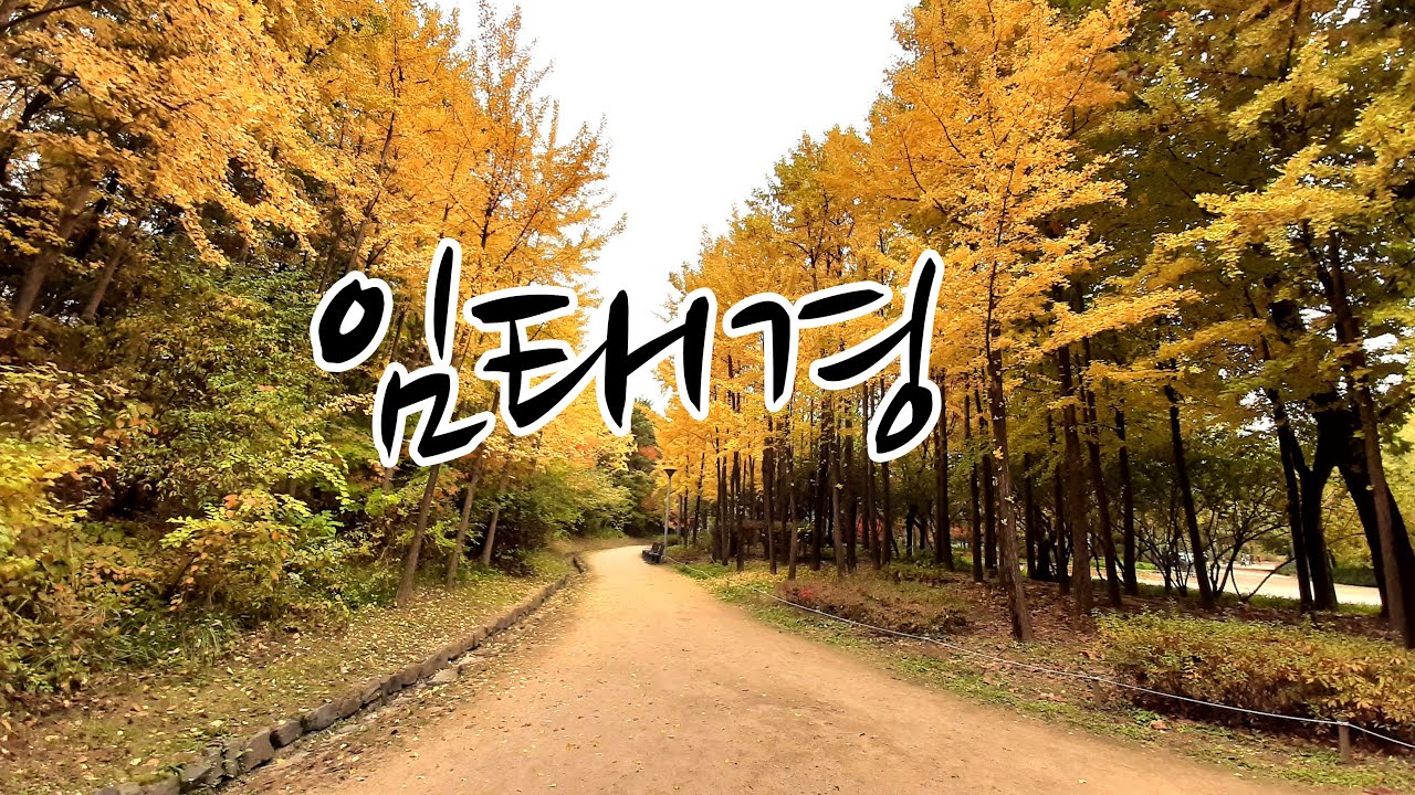 임태경 : 너를 사랑해 / 옷깃 / 사랑이 사랑을 버린다 / 이젠 잊기로 해요 / 그대의 계절