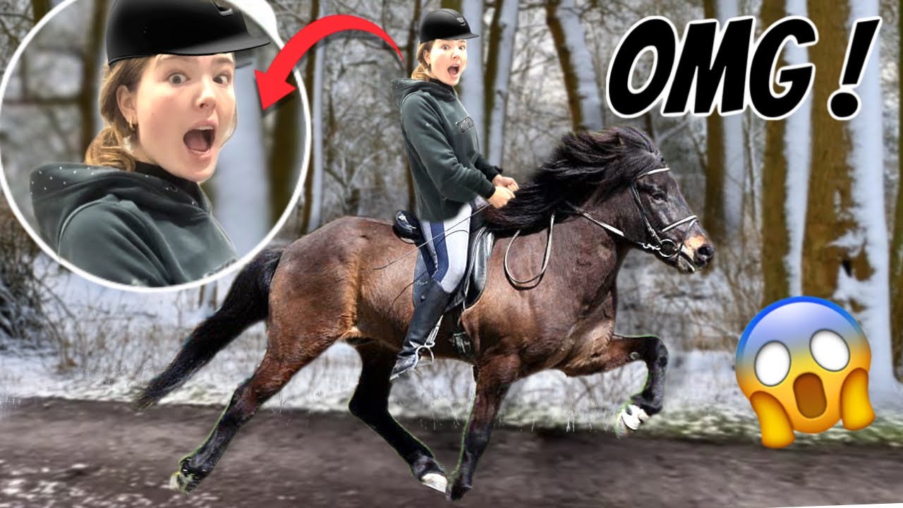 ICH REITE DAS ERSTE MAL EINEN ISLÄNDER!