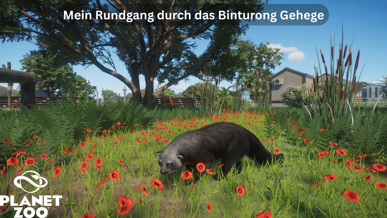 Mein Rundgang durch das Binturong Gehege | Planet Zoo