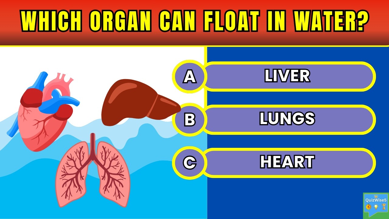 Guess the Human Body Facts! 🧠 | Ultimate Biology Quiz Challenge