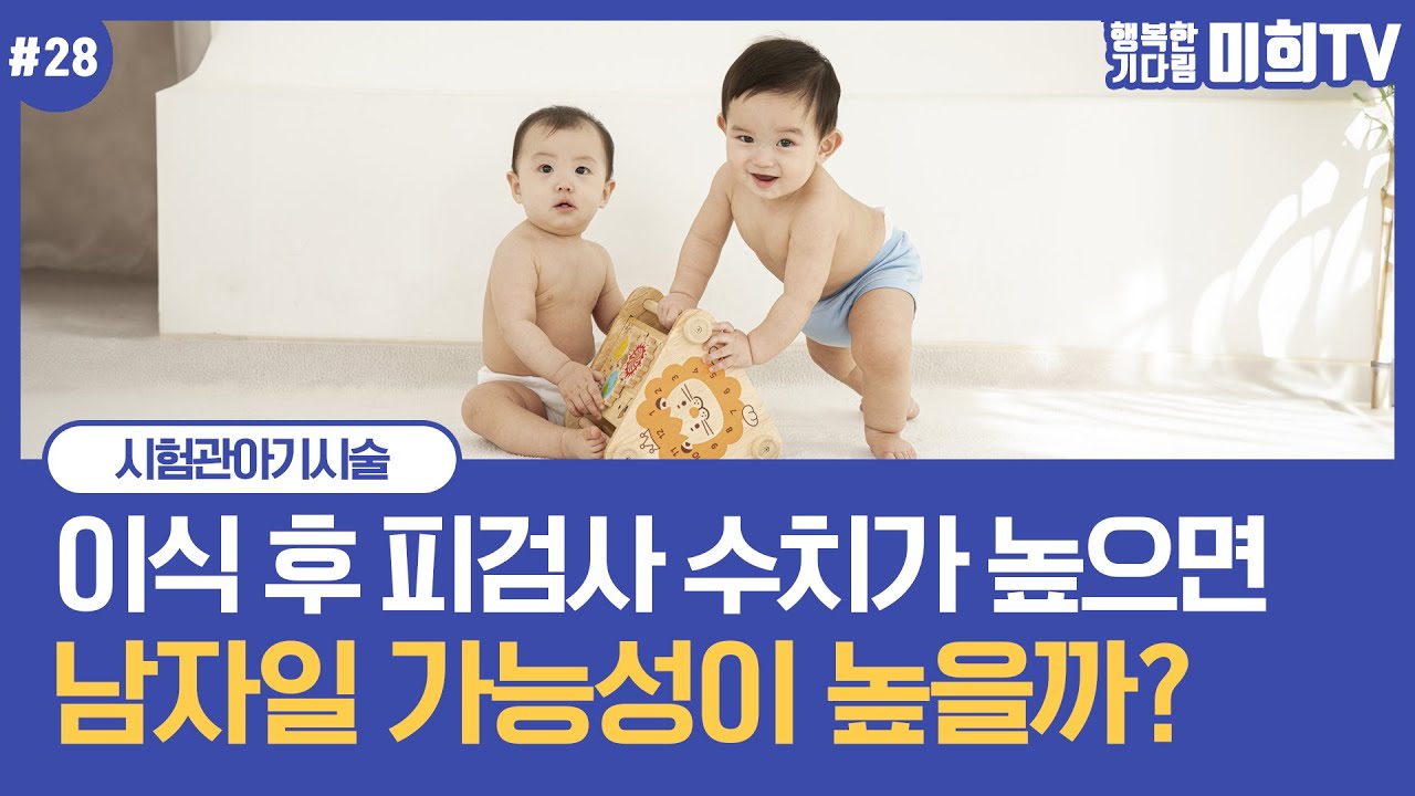 #시험관아기시술 이식하고 #피검사 하는 날 수치로 성별을 예측할 수 있을까?