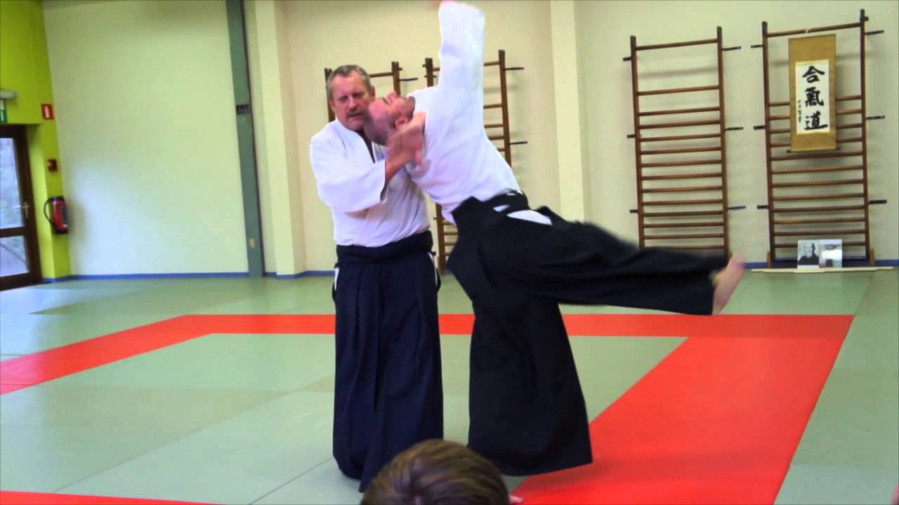 AAI Belgium aikido friendshipseminar 7 December 2014