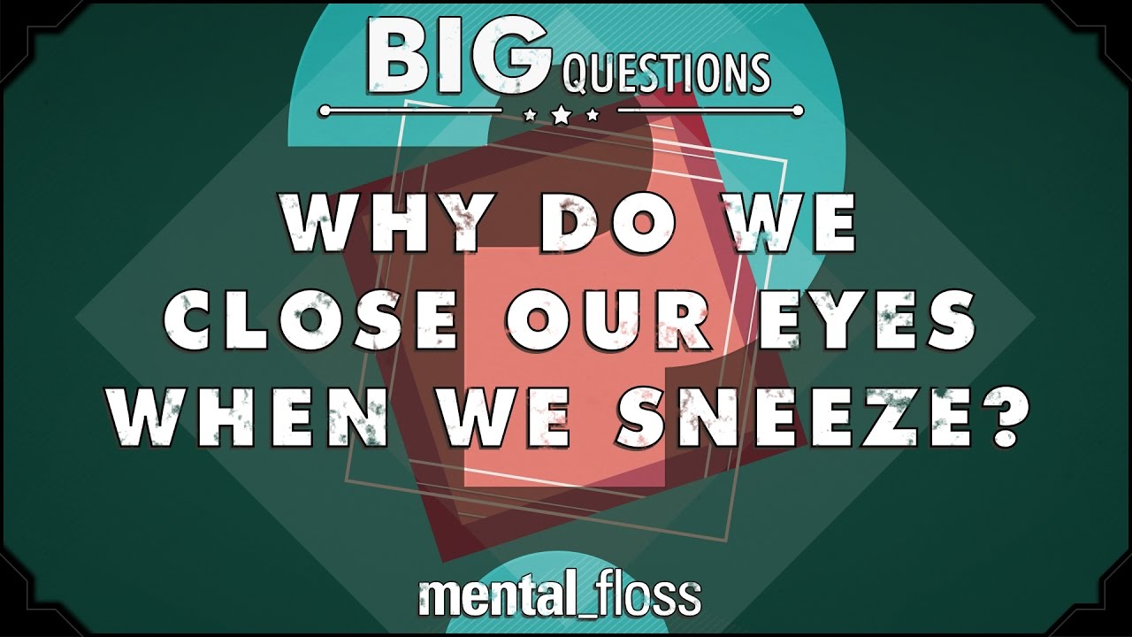 Why do we close our eyes when we sneeze?  - Big Questions - (Ep. 228) | Mental Floss