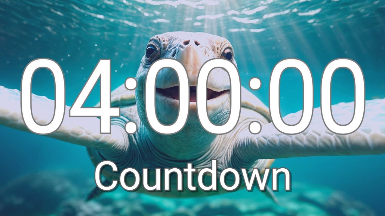 4 Hour Timer with Relaxing Music and Alarm
