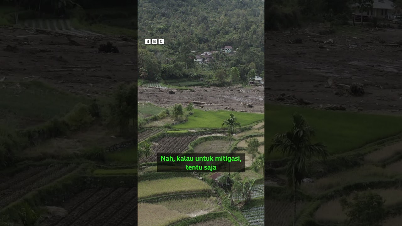 Bisakah pemerintah tegas terhadap deforestasi? - BBC News Indonesia