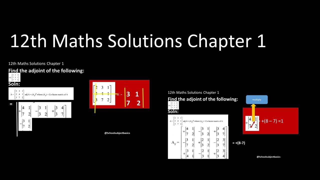 class 12 /matrixes/Find the adjoint of the following:ex 1.1/School subjects basics