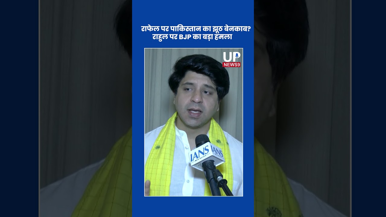 Rafale Row: BJP Targets Rahul Over Pak Claims | up news 9