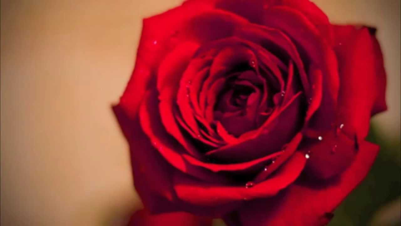 R&B Love Instrumental Beat - 