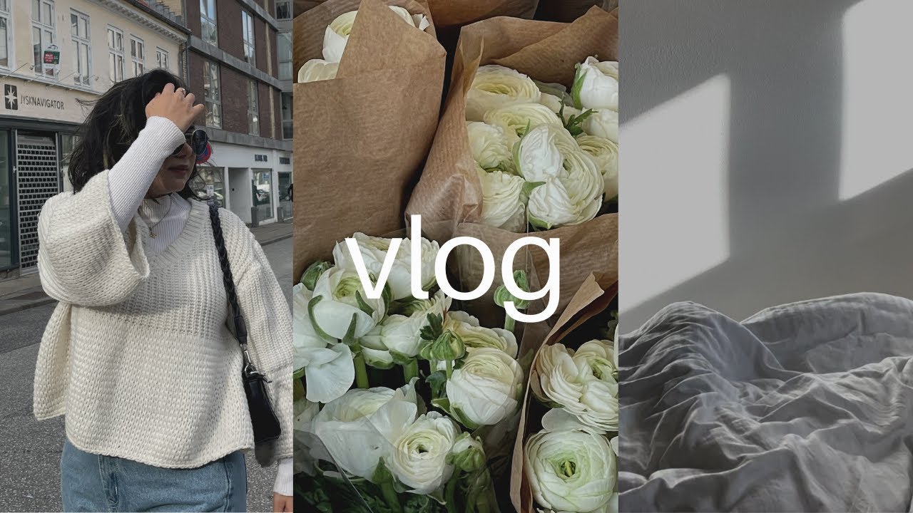 denmark vlog 1 | aalborg, going out for the first time