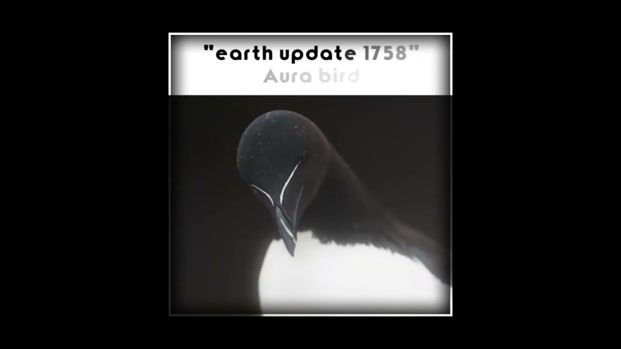 BP audio - Tuesday (super slowed + RDR2 Low Honor bell sound)